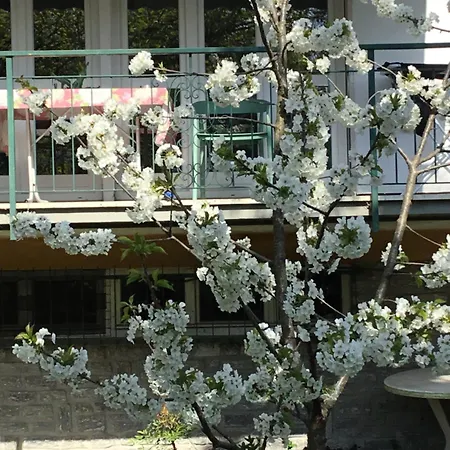 Ferienhaus Residenza Il Ciliegio