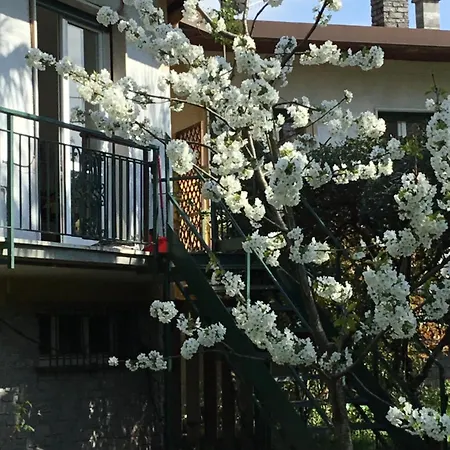 Residenza Il Ciliegio Ferienhaus *