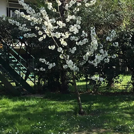 Residenza Il Ciliegio Holiday home Monvalle