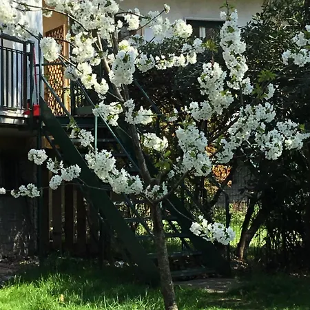 Holiday home Residenza Il Ciliegio Monvalle