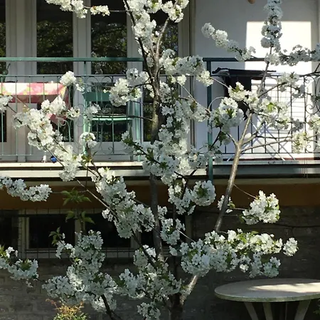 Residenza Il Ciliegio Ferienhaus *
